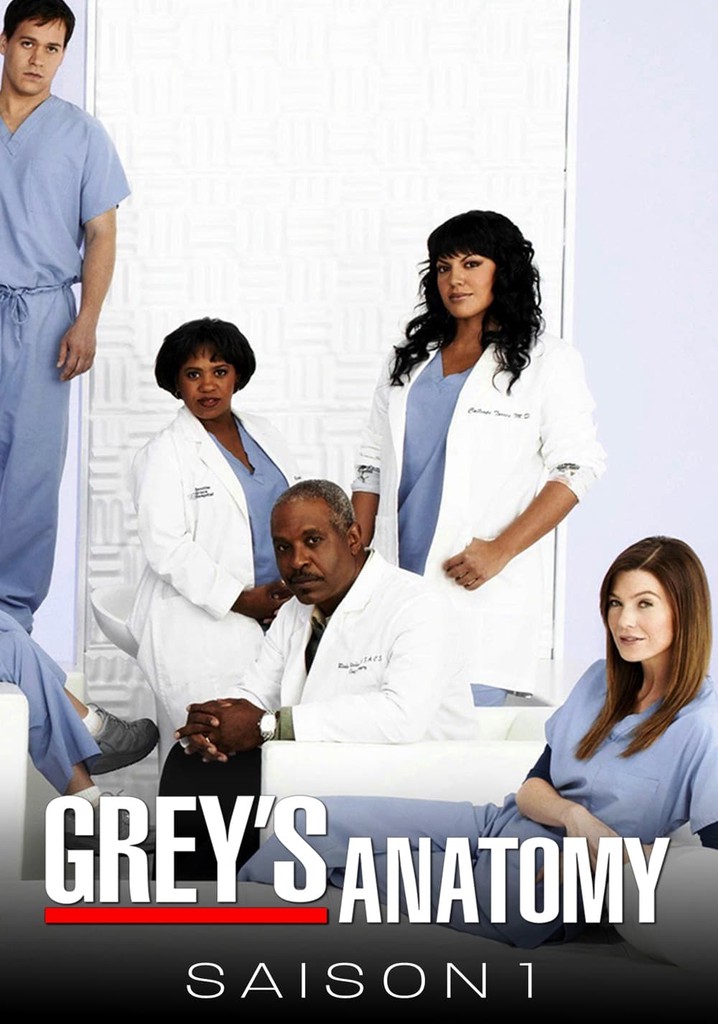 Saison 1 Dre Grey, leçons d'anatomie streaming où regarder les épisodes?